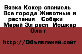 Вязка Кокер спаниель - Все города Животные и растения » Собаки   . Марий Эл респ.,Йошкар-Ола г.